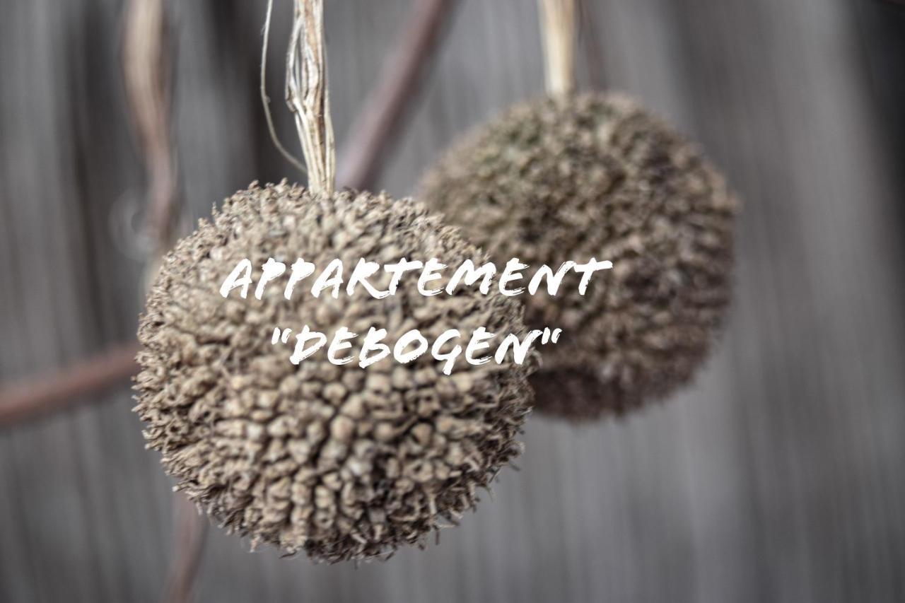 Appartement "Debogen" Emlichheim ภายนอก รูปภาพ